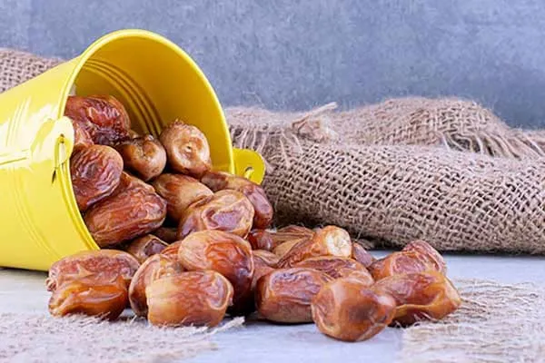 خرید خرمای زاهدی خشک + بهترین قیمت